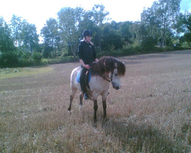 Anden særlig race Snebold  - Snebold og mig :D Foto: Maria billede 19