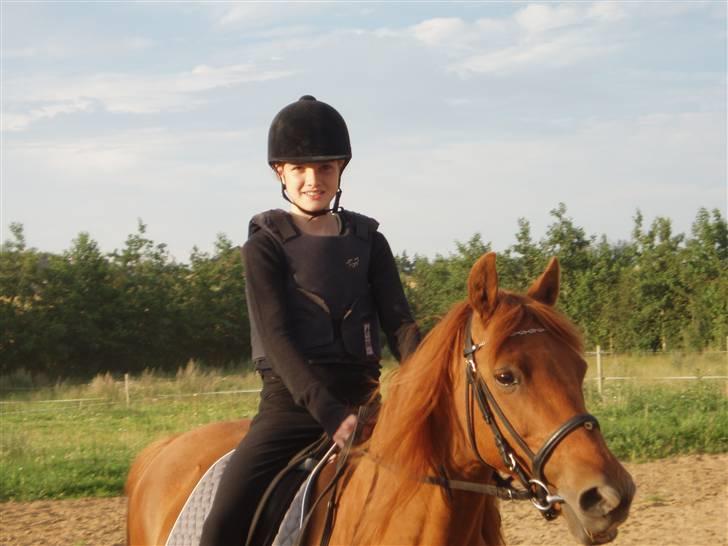 Anden særlig race Marina billede 9