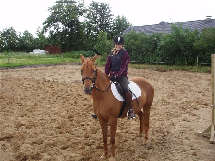 Anden særlig race Marina billede 13