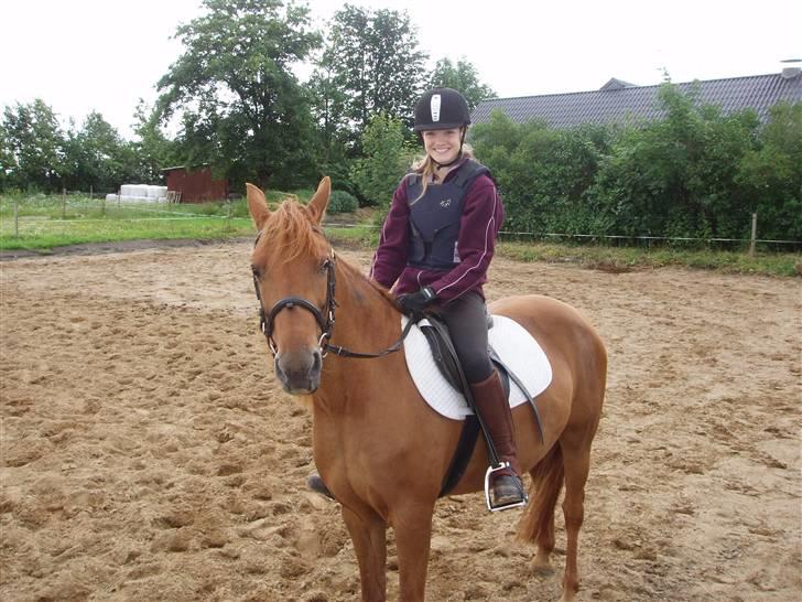 Anden særlig race Marina billede 14