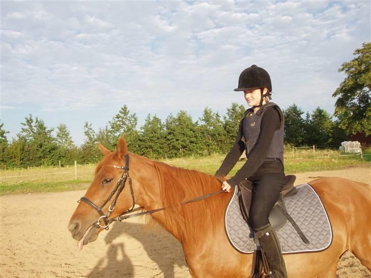 Anden særlig race Marina billede 16