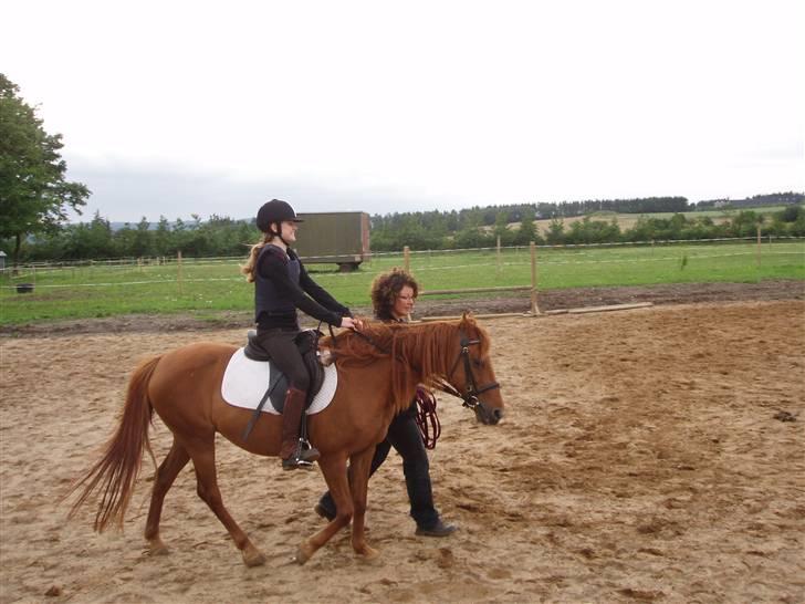 Anden særlig race Marina billede 19