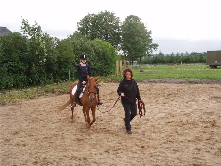 Anden særlig race Marina billede 20