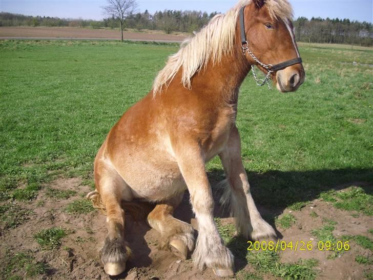 Jyde Nynne - det er hordt at sove :):):):) : foto miig billede 6