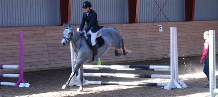 Anden særlig race Con Amor - Og så en smuk landing.... HEH.  mark stævne billede 6