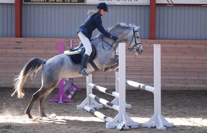 Anden særlig race Con Amor - Jump jubiiih!       mark stævne billede 9