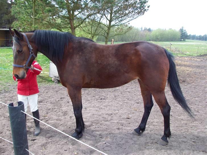 Traver **-<3Elli Star<3-** - "her synes jeg selv det blev et kanon flot billede" ja, ikke sandt Ditte? :-P billede 8