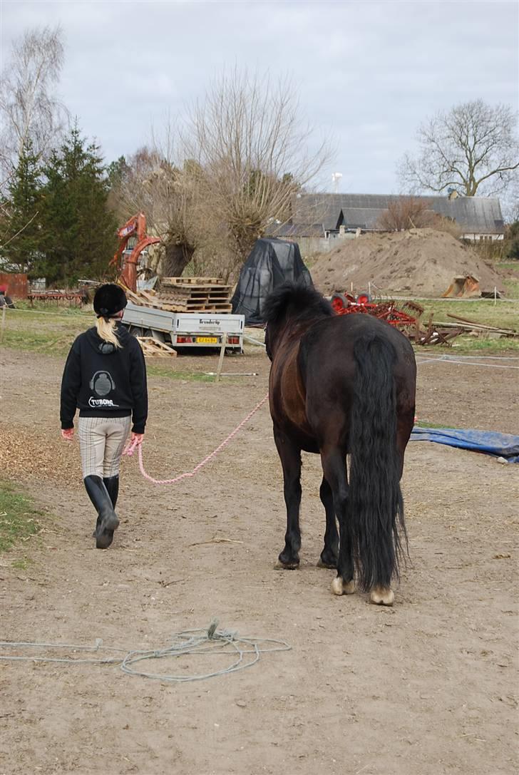 Oldenborg Hr. Lakrids <3   - på vej ind fra fold ;D  billede 13