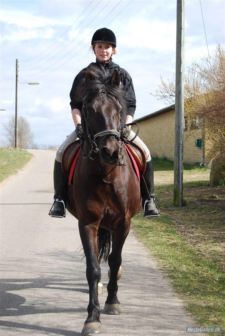 Oldenborg Hr. Lakrids <3   - Fotograf - Line <3  billede 17