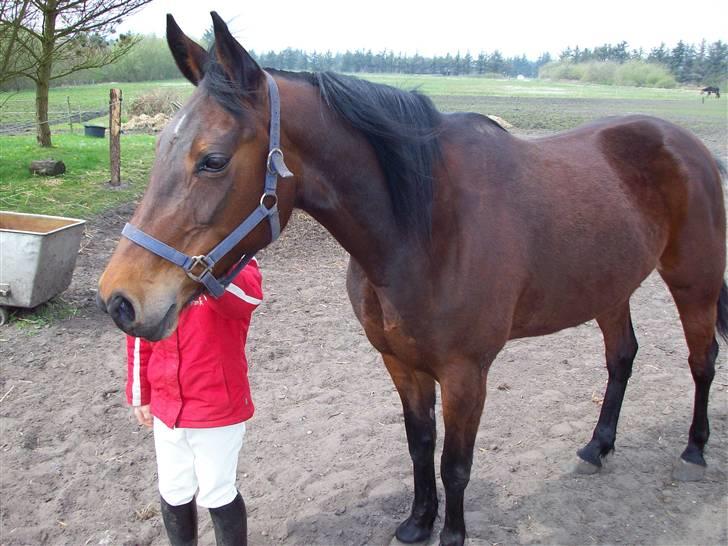 Traver **-<3Elli Star<3-** - uhhh.... endnu et kanon foto-shot! billede 11