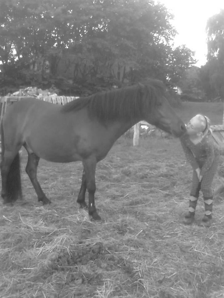 Anden særlig race Tyson<3* SOLGT <3* - et lille kys<3 billede 3