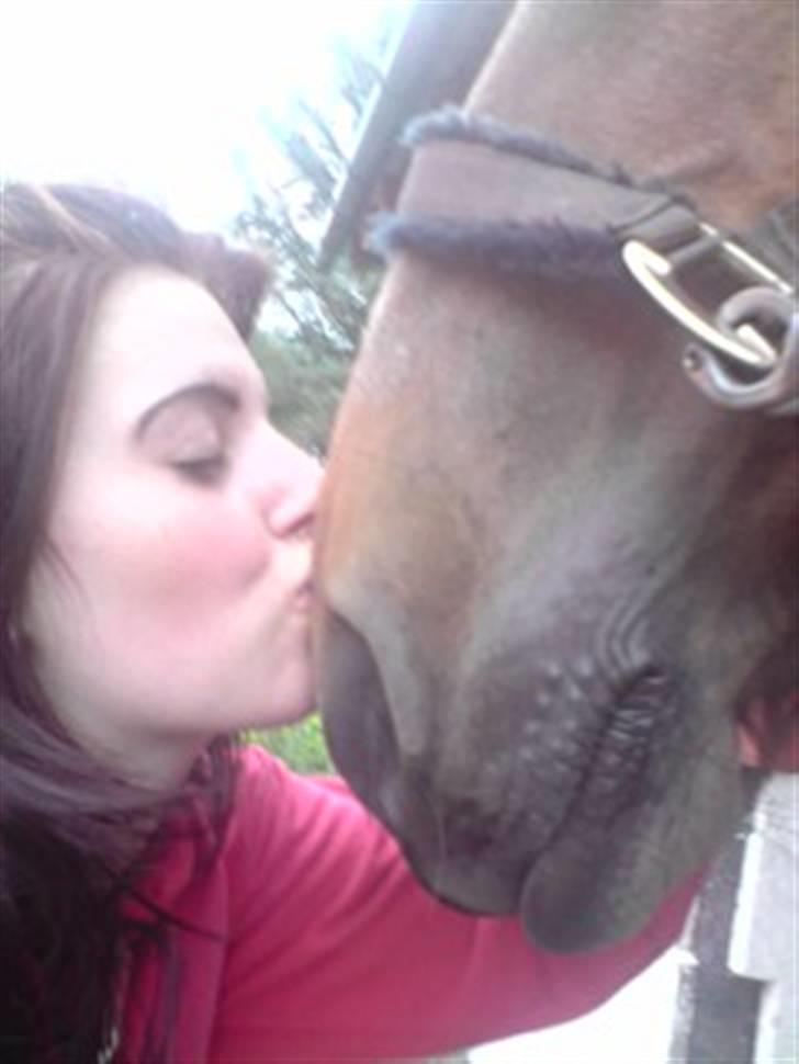 Anden særlig race Kampvogn *Har trænet* - Dagen hun tog afsted - før jeg begyndte at hyle. 2 år - taget af Tinna billede 8