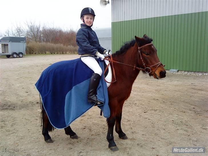 Anden særlig race Tyson<3* SOLGT <3* billede 5