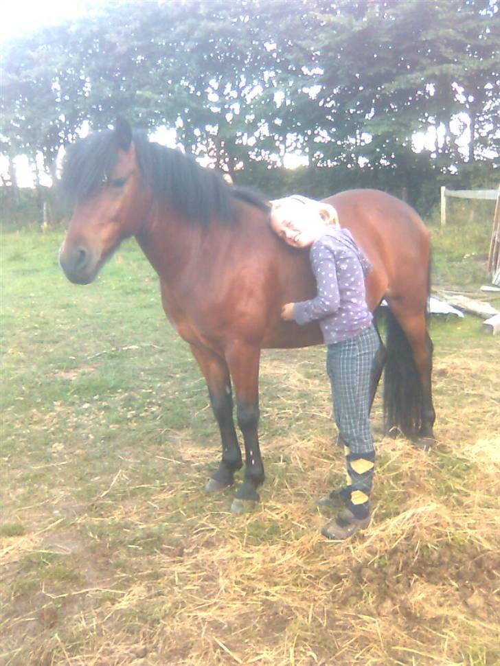 Anden særlig race Tyson<3* SOLGT <3* billede 8