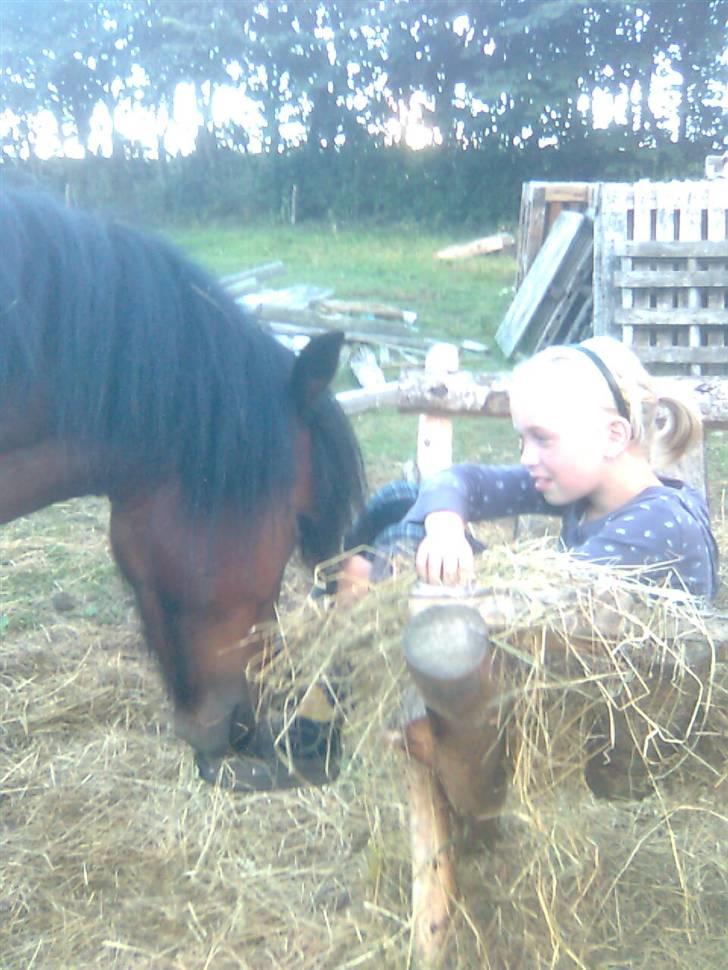 Anden særlig race Tyson<3* SOLGT <3* billede 9