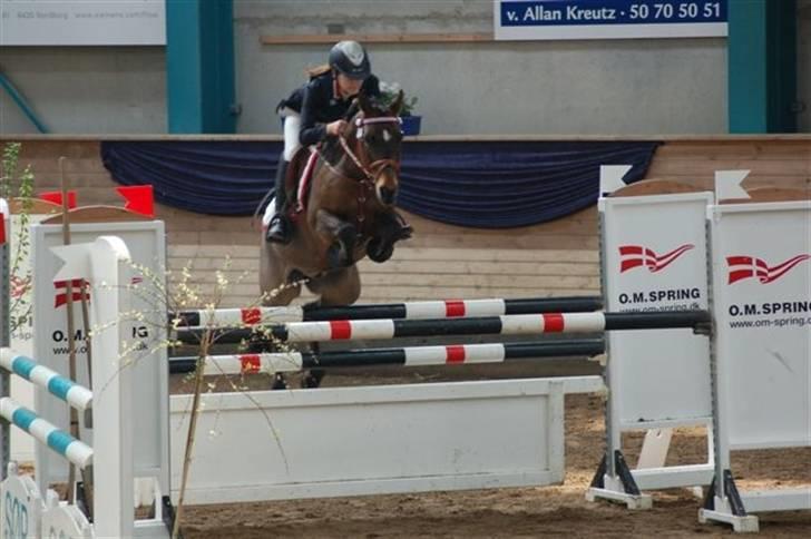 Hollandsk Sportspony Sheik  (SOLGT) - SB til SØR landsstævne april 2008 billede 18