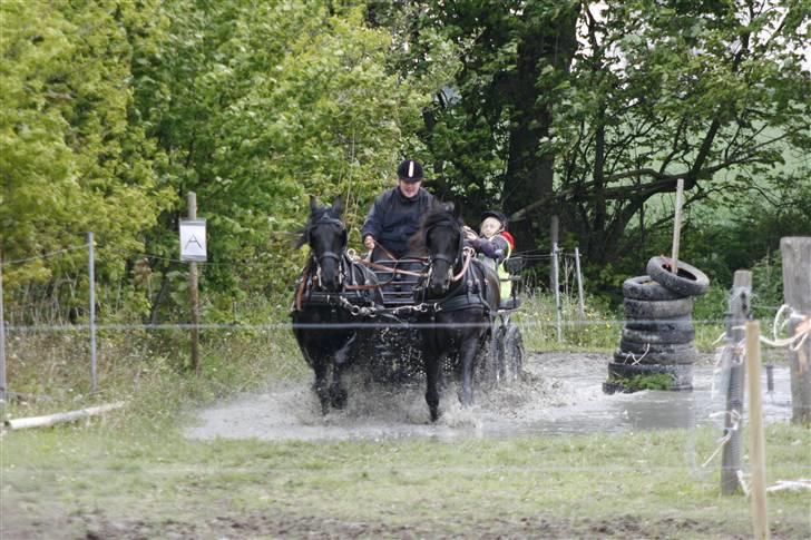 Frieser Karolyne J - 17. maj 09: Karolyne og Mayke igennem vandgraven for første gang! billede 19
