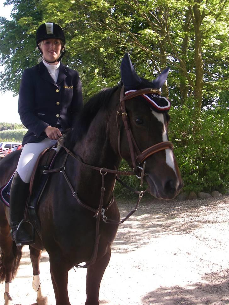 Dansk Varmblod Mei *Solgt* - Misse og Lotte billede 1