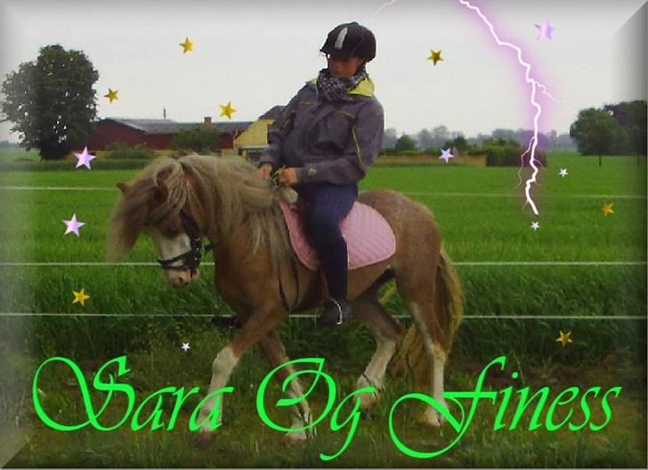 Welsh Pony (sec B) Allégaardens Finess SOLGT - Velkommen til nesses profil :D Dette er mig og Finess :) <3 billede 1