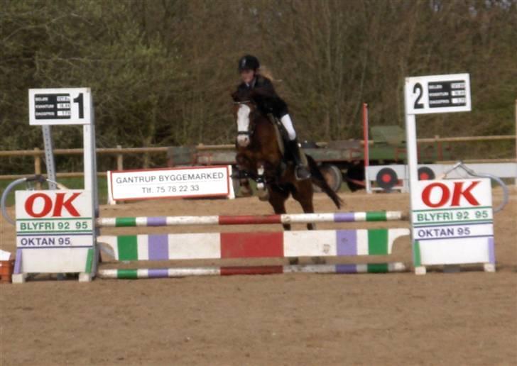 New Forest Judy SOLGT - LC igen.. billede 7