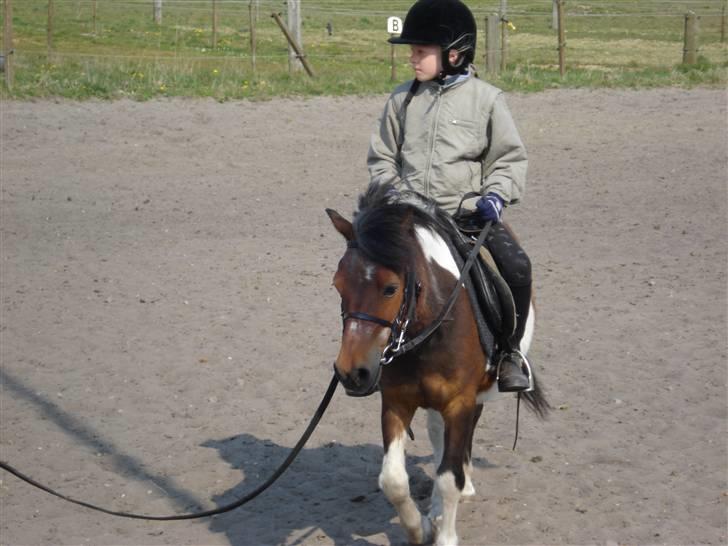 Anden særlig race Twister billede 5