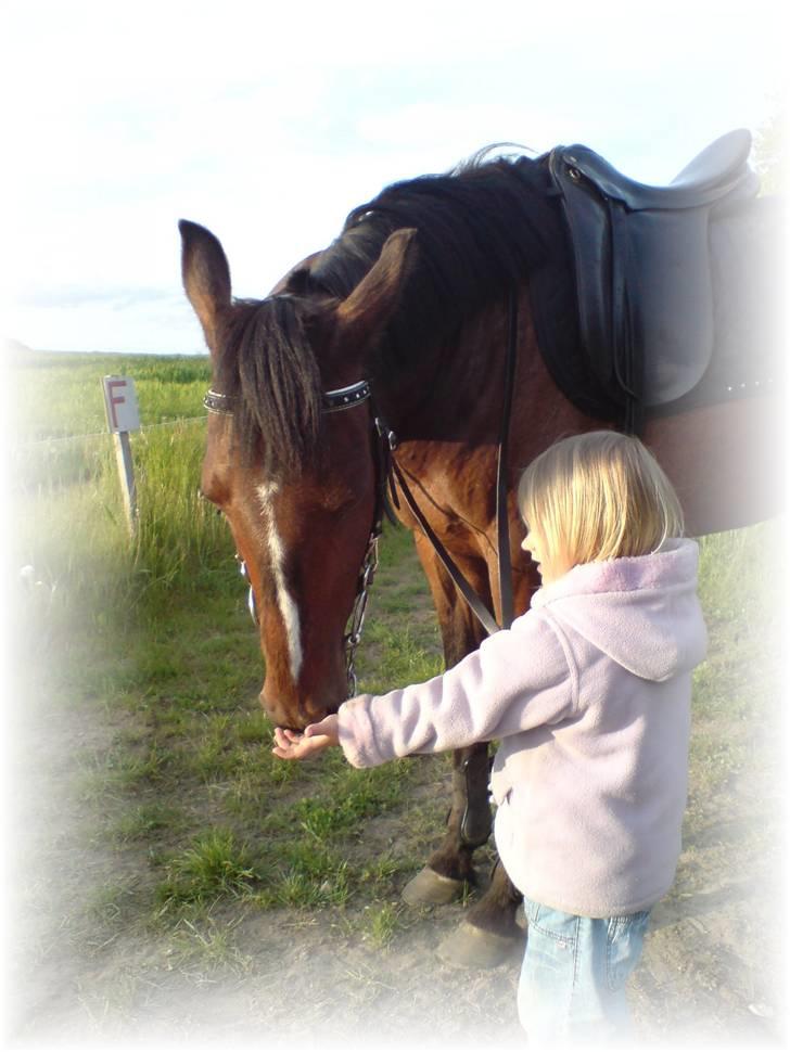 Anden særlig race Shirlee ***SAVNET*** :'( - 17.05.08 Er vi ikke bare sød sammen!?!  :o) billede 1