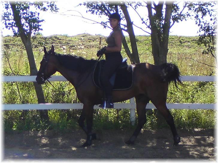 Anden særlig race Shirlee ***SAVNET*** :'( - Shirlee, efter vi havde hende i kun 4 mdr. - hun kan skridtes af med laaaange tøjler  :) billede 8