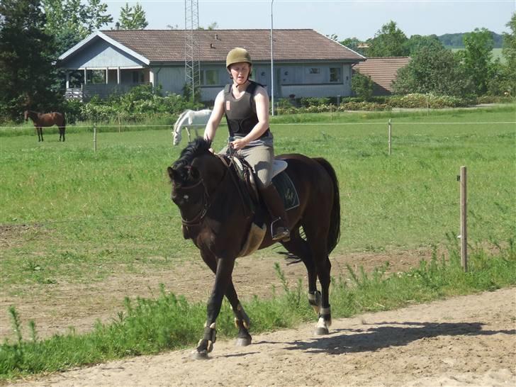 Anden særlig race Mowgli - Sommer 2007 billede 3