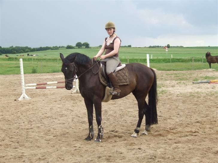 Anden særlig race Mowgli - Sommer 2007 billede 4