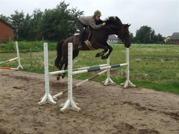 Anden særlig race Mowgli billede 6