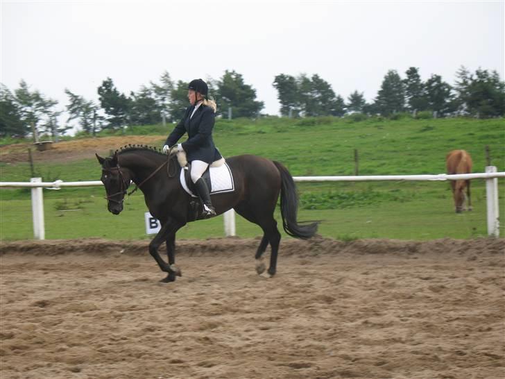 Anden særlig race Mowgli billede 8