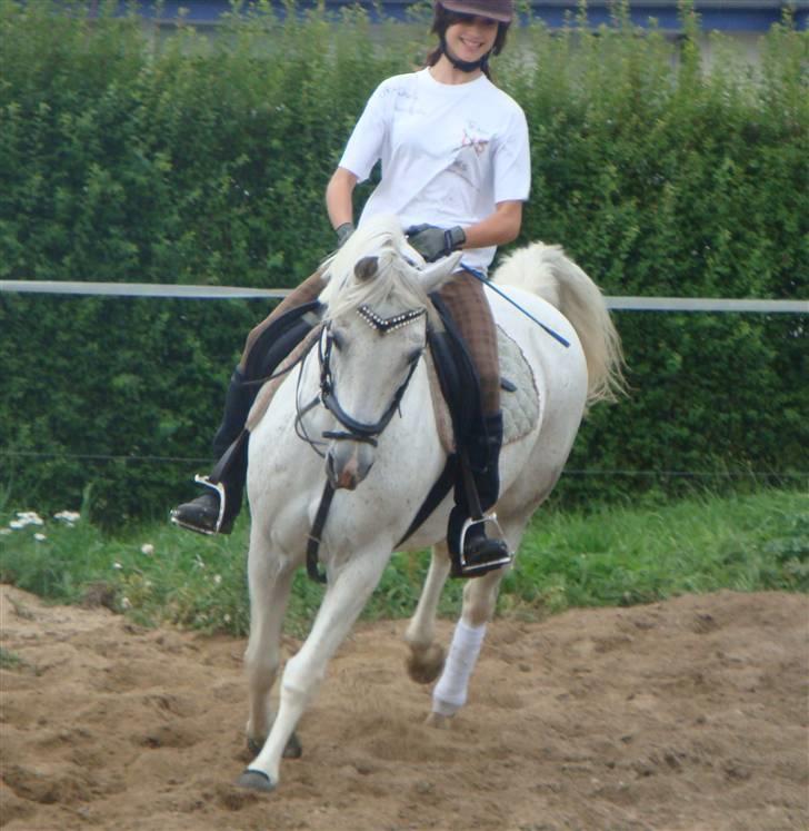 Anden særlig race Cherie - nr.  18  billede 18