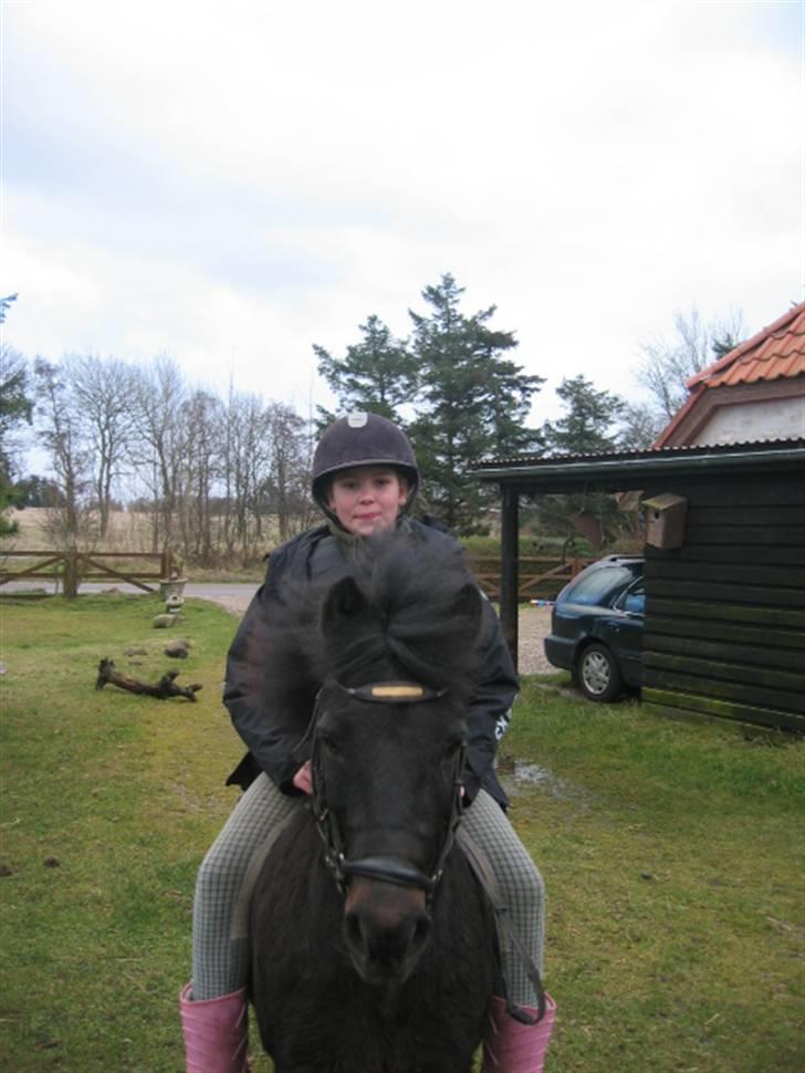 Anden særlig race Buster  - lige efter en lille ride tur billede 1