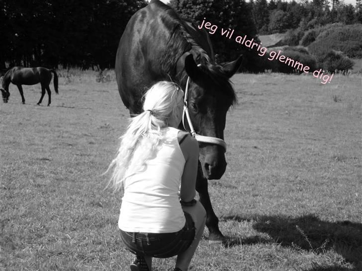 Anden særlig race Mrs. Coco † R.I.P SAVNET  - Coco ; moar, vil vi nogensinde se hinanden igen?  mathilde ; ja, minpige!! vi ses igen <3  15 MIN. INDEN DYRLÆGEN KOM! :´( billede 1