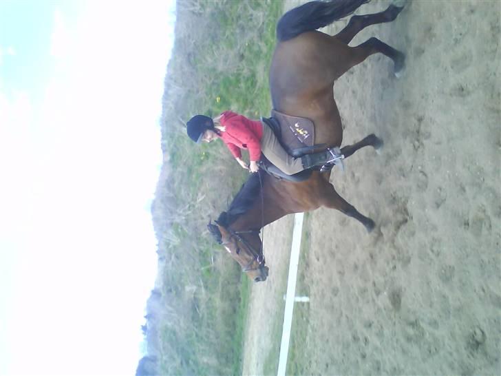 Anden særlig race Comet [SAVNEDE] /'; - Alle starter vel et sted? billede 6