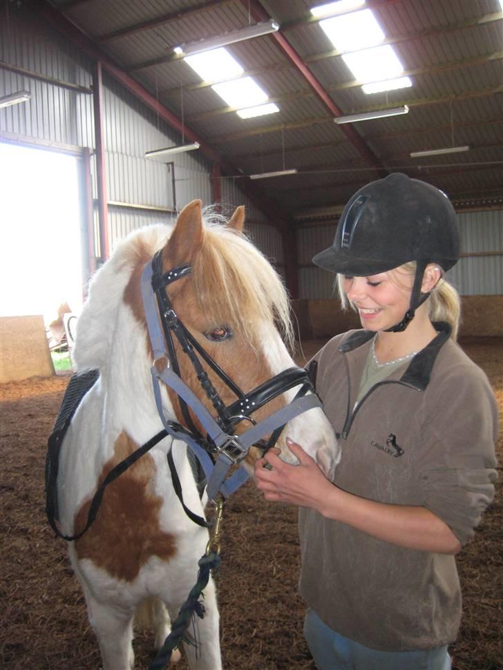 Pinto Lucky Boy - Min søde overberider Nana og Lucky, april 2008. billede 1