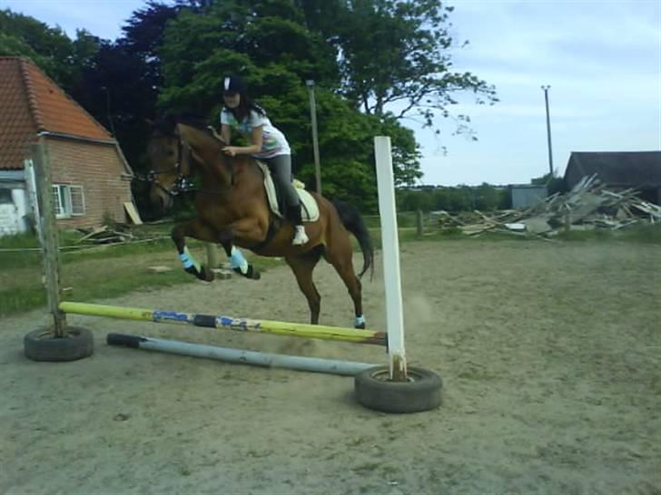 Anden særlig race Bruno, savner dig :'( <3 -  Savner dig :´( billede 17