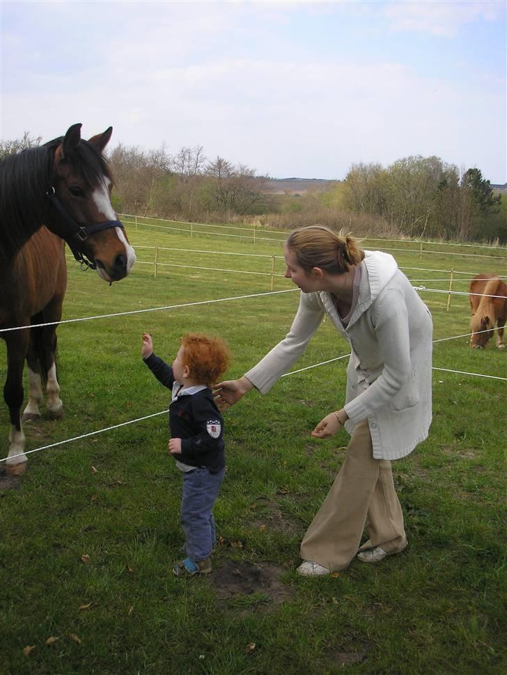 DSP Lunderhedes Mirco solgt - 8. se der er min ejer =] taget af : min mor billede 8