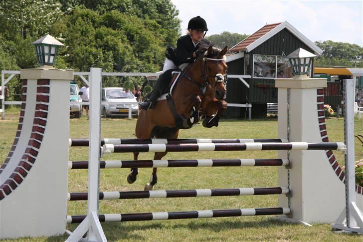 Anden særlig race *Speedy the speedfighter* - Landsstævne i SPS, MA - Billedet er taget af Gitte Dahl, tusind tak ;) billede 1