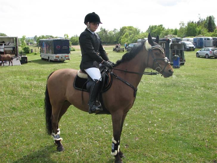 Anden særlig race *Speedy the speedfighter* - Se hvor smukke vi er ;) heeh til landsstævne i Stevnstrup billede 3