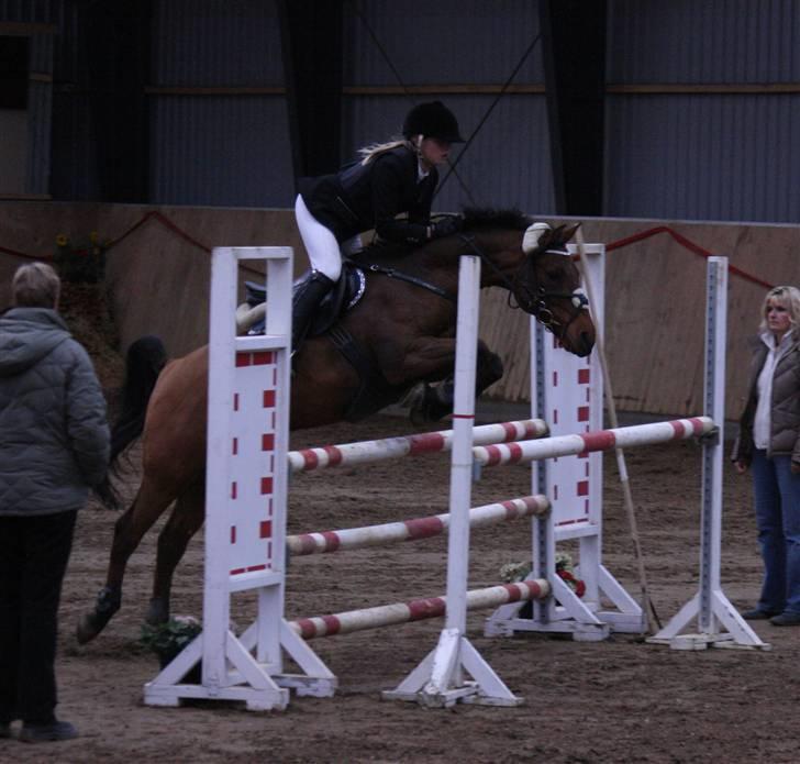 Anden særlig race *Speedy the speedfighter* - Landsstævne i Hedensted - MA fik en 5. plads - taget af Annemette m. Angel (er også herinde) tusin tak :) billede 4
