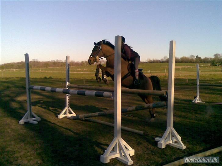 Anden særlig race *Speedy the speedfighter* - Springtræning på Speedymus :b <33 billede 5