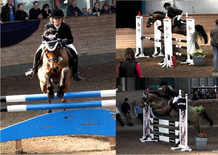 Anden særlig race *Speedy the speedfighter* - Landsstævne i Sønderborg rideklub, MB, mit allerførste landsstævne - 2. plads billede 7