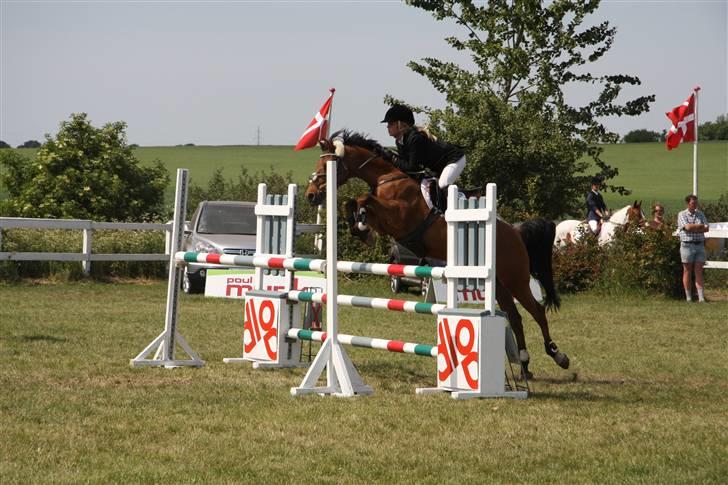 Anden særlig race *Speedy the speedfighter* - Landsstævne i SPS, MA - Billedet er taget af Gitte Dahl, tusind tak ;) billede 8
