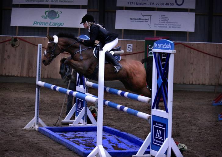 Anden særlig race *Speedy the speedfighter* - Landsstævne i Hedensted - MA fik en 5. plads - taget af Annemette m. Angel (er også herinde) tusin tak :) billede 10