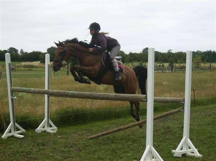 Anden særlig race *Speedy the speedfighter* - #NYT# Springtræning på Speedy :b <33 billede 11