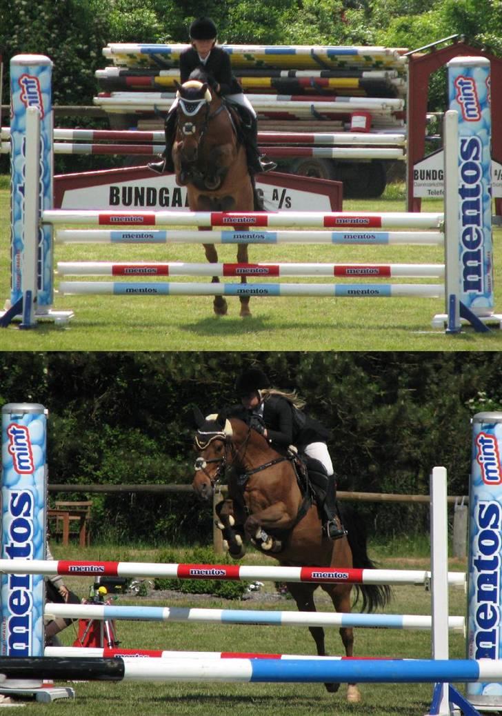 Anden særlig race *Speedy the speedfighter* - Landsstævne i Stevnstrup ;P <´3 billede 12