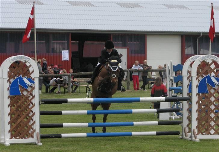 Anden særlig race *Speedy the speedfighter* - Landsstævne i Stevnstrup som er mit 2. landsstævne og 3. stævne på Speedy - MA, fik en 2. plads :) billede 13