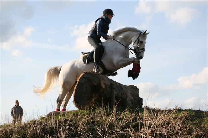 Anden særlig race Sun City Scan | B - træning m landstræneren i Flyinge, Sverige, op til landsstævnet i Gärds. Foto: Morten Fiil billede 12