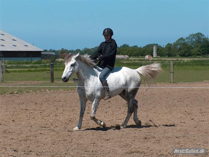 Anden særlig race Sun City Scan | B - City og P hvisker med hinanden uuuuuh! billede 16